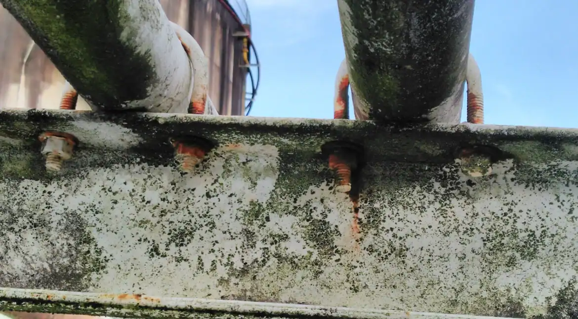 Corroded welded pipe support showing rust and moisture damage under U-bolts