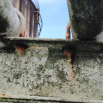 Corroded welded pipe support showing rust and moisture damage under U-bolts